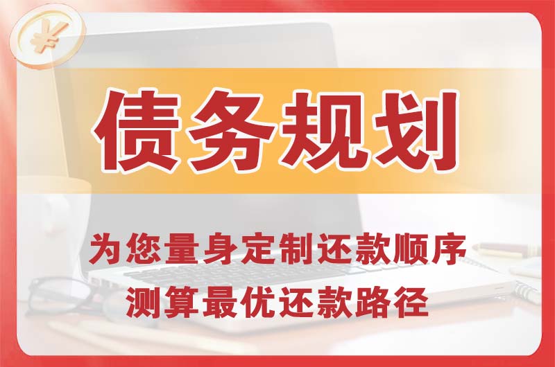阿坝债务规划